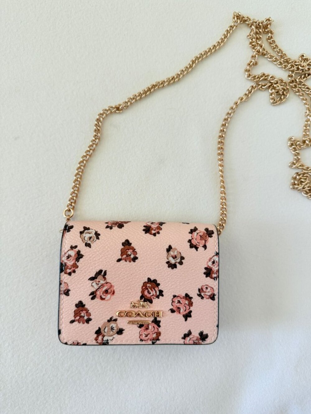 coach Mini Wallet On A Chain With Rosette Print cz022